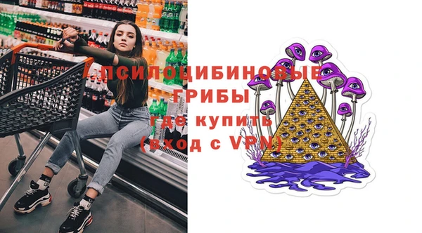 СК Арсеньев