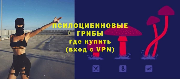 apvp Аркадак