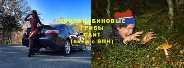 СК Арсеньев