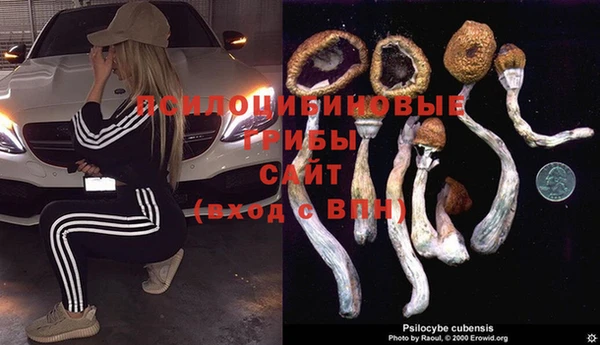 мескалин Армянск