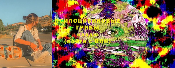 прущие крисы Балахна