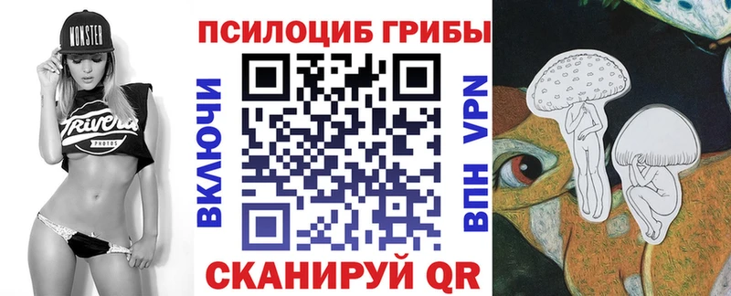 Купить Называевск Галлюциногенные грибы Psilocybe