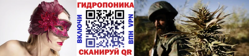 Бошки Шишки конопля Называевск
